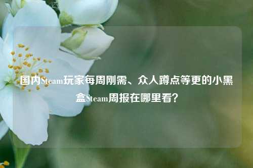 国内Steam玩家每周刚需、众人蹲点等更的小黑盒Steam周报在哪里看?