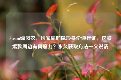 Steam绿风衣,玩家圈的隐形身份通行证,这款爆款周边有何魔力?永久获取方法一文说清