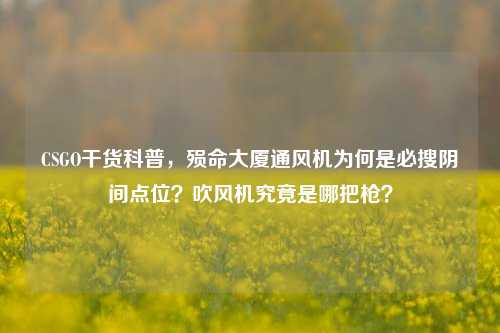 CSGO干货科普，殒命大厦通风机为何是必搜阴间点位？吹风机究竟是哪把枪？