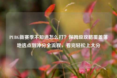PUBG新赛季不知道怎么打？保姆级攻略覆盖落地选点到冲分全流程，看完轻松上大分