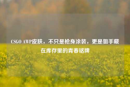 CSGO AWP皮肤,不只是枪身涂装,更是狙手藏在库存里的青春铭牌