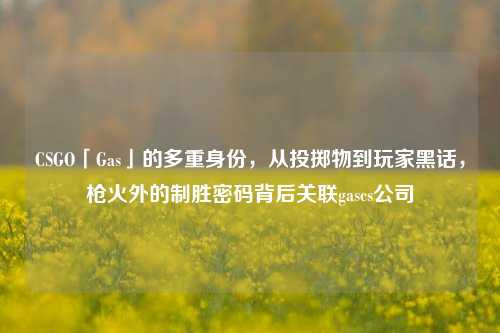 CSGO「Gas」的多重身份,从投掷物到玩家黑话,枪火外的制胜密码背后关联gascs公司