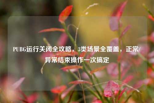 PUBG运行关闭全攻略，3类场景全覆盖，正常/异常结束操作一次搞定