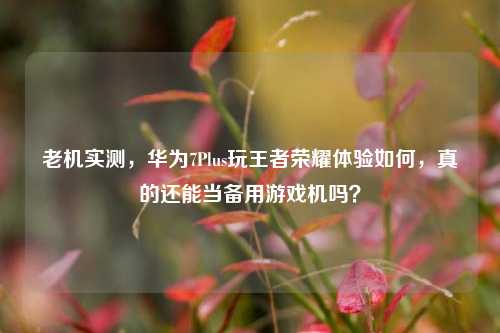 老机实测，华为7Plus玩王者荣耀体验如何，真的还能当备用游戏机吗？