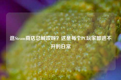 逛Steam商店总喊哎呀？这是每个PC玩家都逃不开的日常