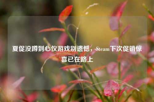 夏促没蹲到心仪游戏别遗憾，Steam下次促销惊喜已在路上