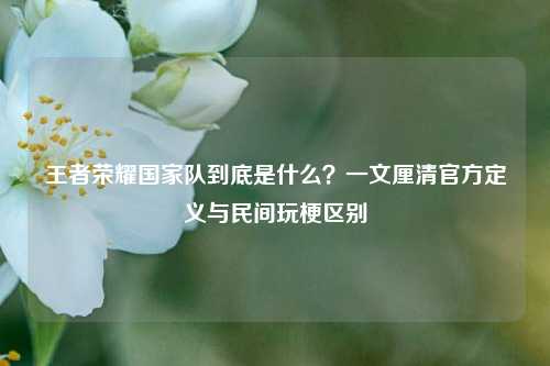 王者荣耀国家队到底是什么？一文厘清官方定义与民间玩梗区别