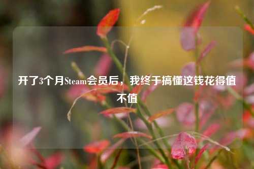 开了3个月Steam会员后，我终于搞懂这钱花得值不值