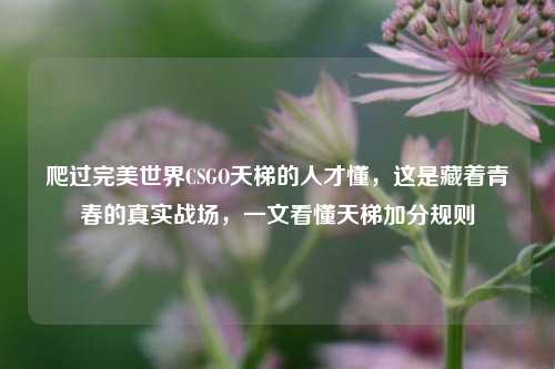 爬过完美世界CSGO天梯的人才懂,这是藏着青春的真实战场,一文看懂天梯加分规则