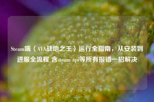 Steam端〈AVA战地之王〉运行全指南,从安装到进服全流程 含steam api等所有报错一招解决