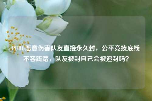 PUBG恶意伤害队友直接永久封，公平竞技底线不容践踏，队友被封自己会被追封吗？