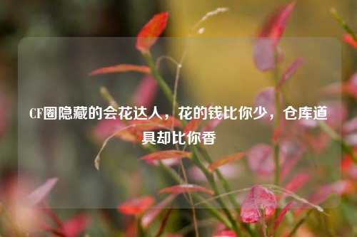 CF圈隐藏的会花达人，花的钱比你少，仓库道具却比你香