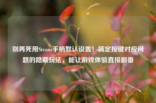 别再死用Steam手柄默认设置！搞定按键对应问题的隐藏玩法，能让游戏体验直接翻番