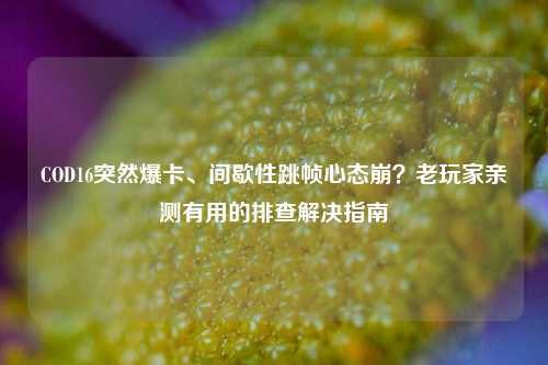 COD16突然爆卡、间歇性跳帧心态崩？老玩家亲测有用的排查解决指南