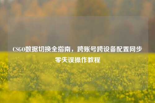 CSGO数据切换全指南,跨账号跨设备配置同步零失误操作教程