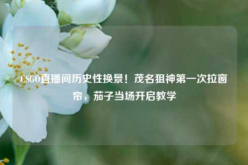 CSGO直播间历史性换景！茂名狙神第一次拉窗帘，茄子当场开启教学