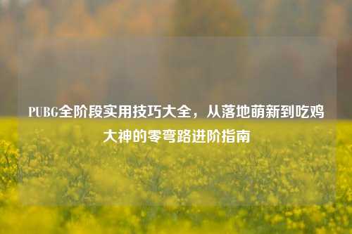 PUBG全阶段实用技巧大全，从落地萌新到吃鸡大神的零弯路进阶指南