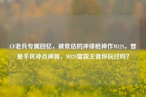 CF老兵专属回忆，被低估的冲锋枪神作M12S，曾是平民冲点神器，M12S雷霆王者你玩过吗？