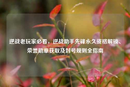 逆战老玩家必看，逆战助手先锋永久资格解锁、荣誉勋章获取及封号规则全指南