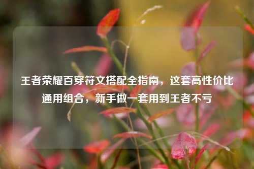 王者荣耀百穿符文搭配全指南,这套高性价比通用组合,新手做一套用到王者不亏