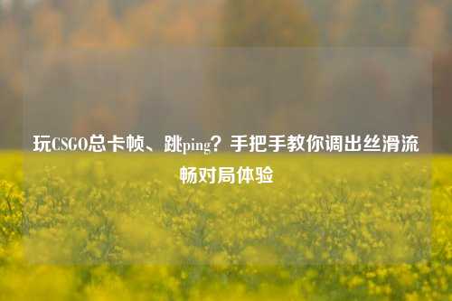 玩CSGO总卡帧、跳ping？手把手教你调出丝滑流畅对局体验
