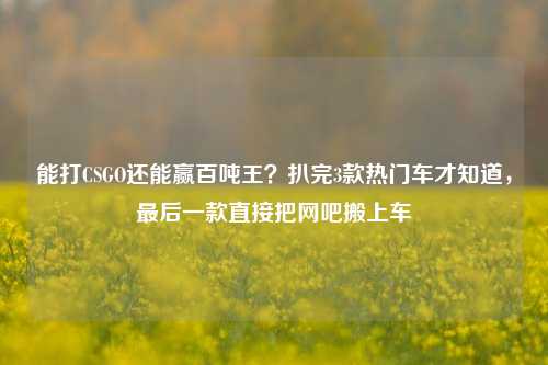 能打CSGO还能赢百吨王?扒完3款热门车才知道,最后一款直接把网吧搬上车