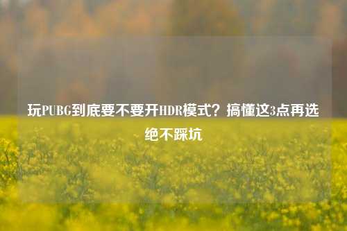 玩PUBG到底要不要开HDR模式？搞懂这3点再选绝不踩坑
