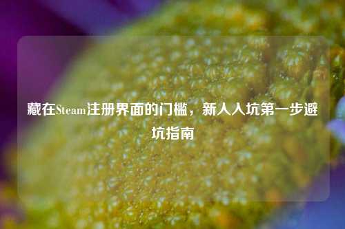 藏在Steam注册界面的门槛，新人入坑第一步避坑指南