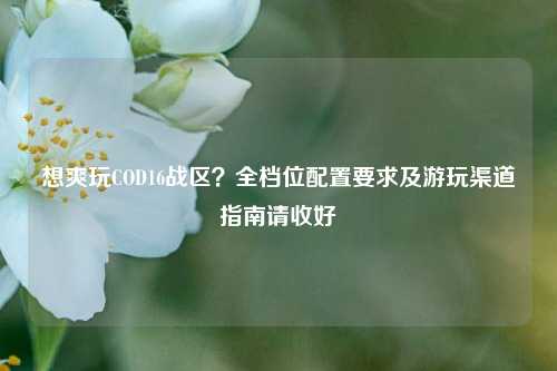 想爽玩COD16战区？全档位配置要求及游玩渠道指南请收好