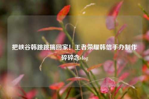 把峡谷韩跳跳揣回家！王者荣耀韩信手办制作碎碎念vlog