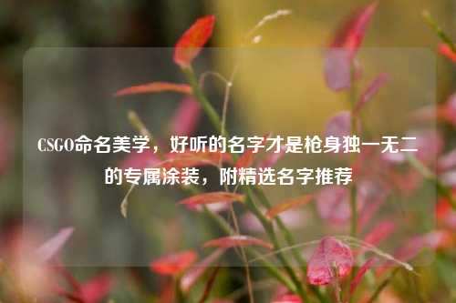 CSGO命名美学，好听的名字才是枪身独一无二的专属涂装，附精选名字推荐