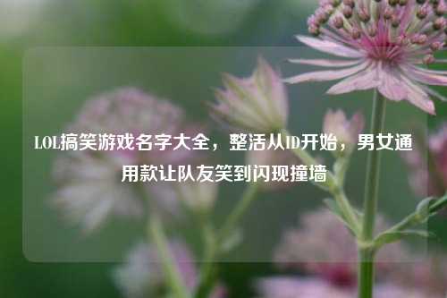 LOL搞笑游戏名字大全,整活从ID开始,男女通用款让队友笑到闪现撞墙