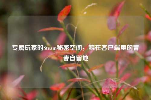 专属玩家的Steam秘密空间，藏在客户端里的青春自留地
