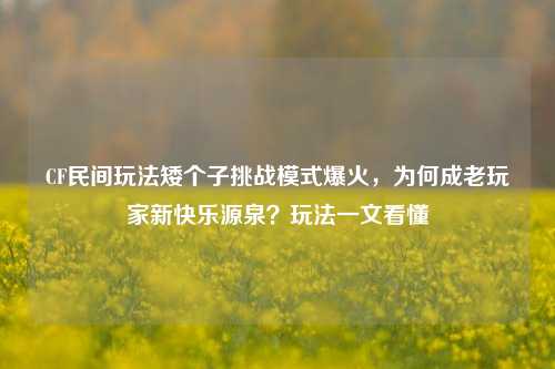 CF民间玩法矮个子挑战模式爆火，为何成老玩家新快乐源泉？玩法一文看懂