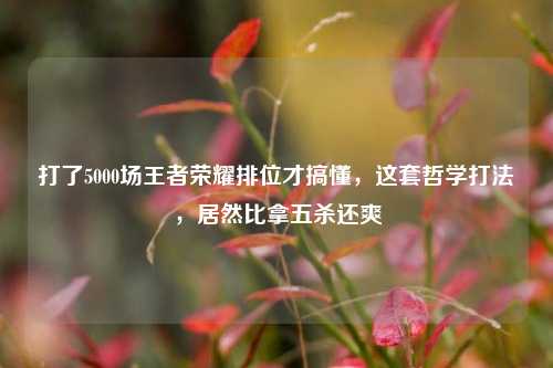 打了5000场王者荣耀排位才搞懂，这套哲学打法，居然比拿五杀还爽