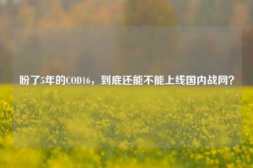 盼了5年的COD16，到底还能不能上线国内战网？