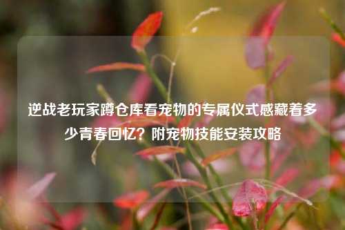 逆战老玩家蹲仓库看宠物的专属仪式感藏着多少青春回忆？附宠物技能安装攻略