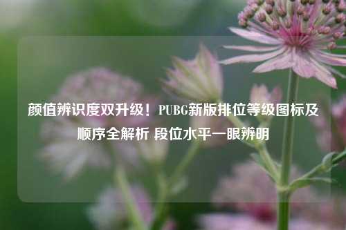 颜值辨识度双升级！PUBG新版排位等级图标及顺序全解析 段位水平一眼辨明