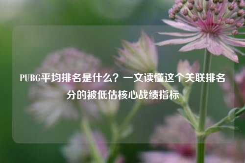 PUBG平均排名是什么？一文读懂这个关联排名分的被低估核心战绩指标