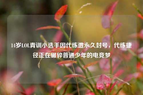 14岁LOL青训小选手因代练遭永久封号,代练捷径正在碾碎普通少年的电竞梦