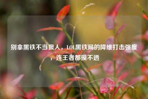 别拿黑铁不当狠人,LOL黑铁局的降维打击强度,连王者都摸不透