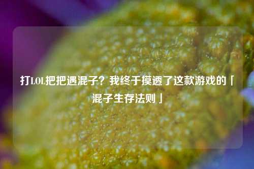 打LOL把把遇混子？我终于摸透了这款游戏的「混子生存法则」