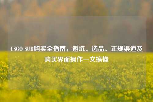 CSGO SUB购买全指南，避坑、选品、正规渠道及购买界面操作一文搞懂