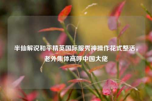 半仙解说和平精英国际服秀神操作花式整活,老外集体高呼中国大佬