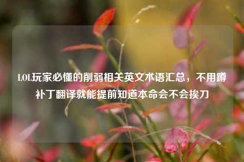 LOL玩家必懂的削弱相关英文术语汇总，不用蹲补丁翻译就能提前知道本命会不会挨刀