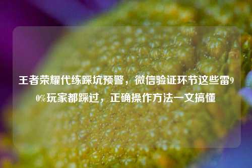 王者荣耀代练踩坑预警，微信验证环节这些雷90%玩家都踩过，正确操作方法一文搞懂