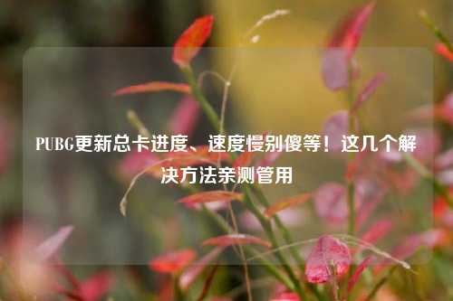 PUBG更新总卡进度、速度慢别傻等！这几个解决方法亲测管用