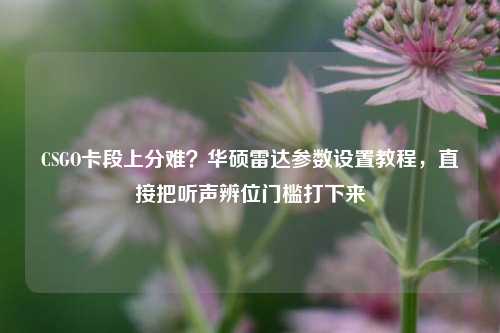 CSGO卡段上分难？华硕雷达参数设置教程，直接把听声辨位门槛打下来