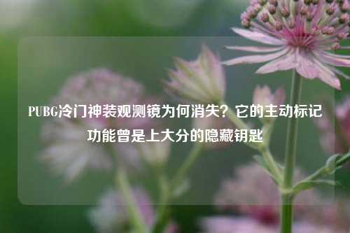 PUBG冷门神装观测镜为何消失?它的主动标记功能曾是上大分的隐藏钥匙