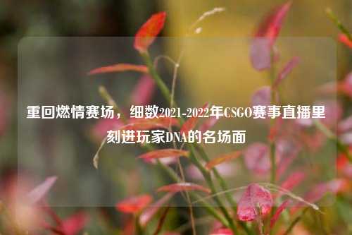 重回燃情赛场，细数2021-2022年CSGO赛事直播里刻进玩家DNA的名场面